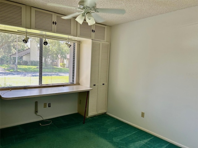 2456 Bay Berry Ct, Clearwater, FL 33763 - photo 11