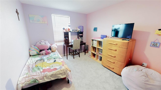 671 Sunlit Coral St, Ruskin, FL 33570 - photo 8