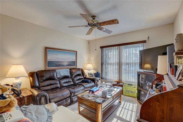 9643 Noble Ct, New Port Richey, FL 34655 - photo 25