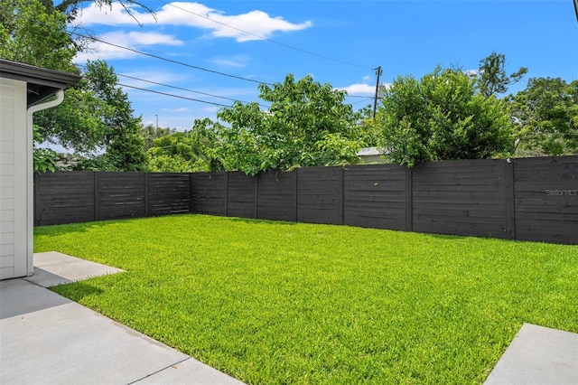4115 N Central Ave, Tampa, FL 33603 - photo 46