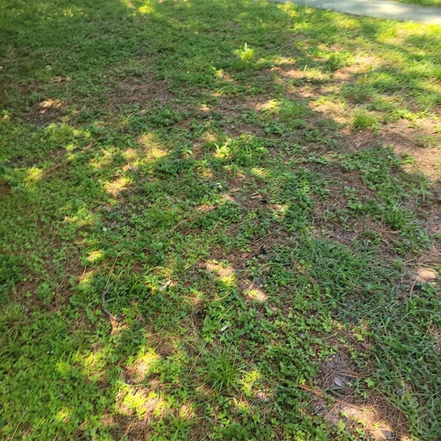 3730 3rd Ave N, Saint Petersburg, FL 33713 - photo 3