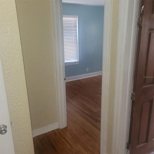 3730 3rd Ave N, Saint Petersburg, FL 33713 - photo 12