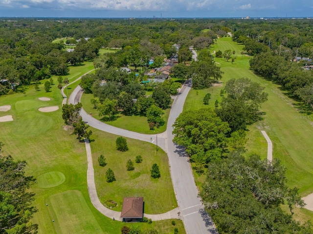 421 Montrose Ave, Temple Terrace, FL 33617 - photo 92