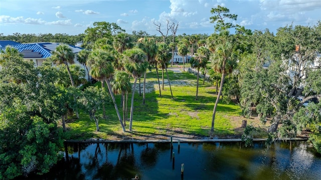 2631 N Dundee St, Tampa, FL 33629 - photo 2