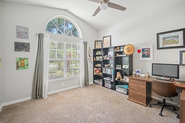 1801 Vista River Dr, Valrico, FL 33596 - photo 4