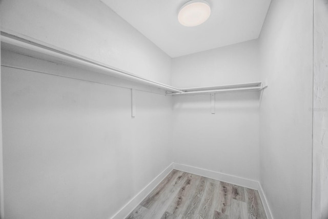 509 13th Ave NW, Largo, FL 33770 - photo 21