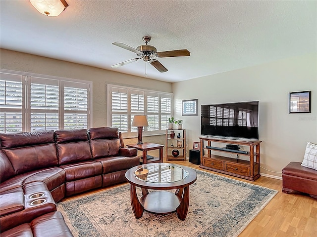 9335 Stonewall Ln, New Port Richey, FL 34655 - photo 30