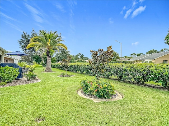 9335 Stonewall Ln, New Port Richey, FL 34655 - photo 51