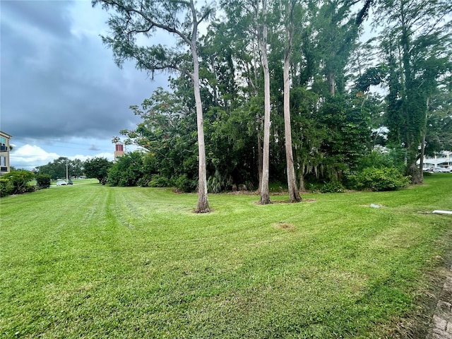 2459 Franciscan Dr Unit 17, Clearwater, FL 33763 - photo 23