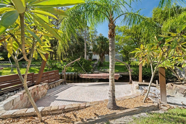 1838 Springtime Ave, Clearwater, FL 33755 - photo 6