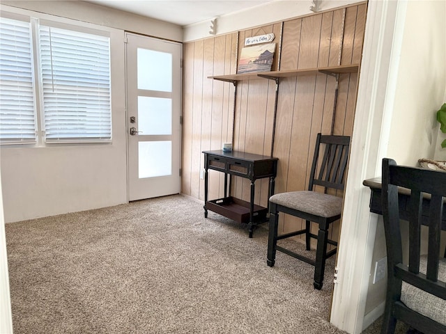 1838 Springtime Ave, Clearwater, FL 33755 - photo 24