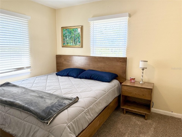 1838 Springtime Ave, Clearwater, FL 33755 - photo 34
