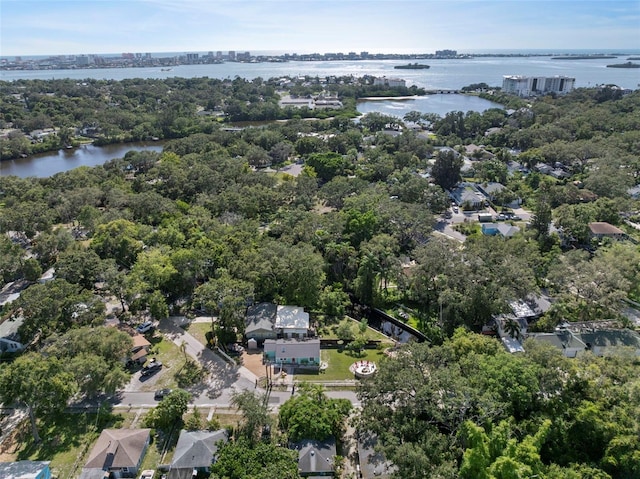 1838 Springtime Ave, Clearwater, FL 33755 - photo 39
