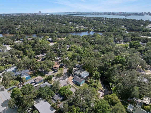 1838 Springtime Ave, Clearwater, FL 33755 - photo 40