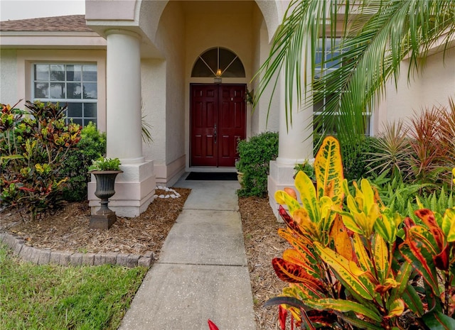 1152 Clippers Way, Tarpon Springs, FL 34689 - photo 5