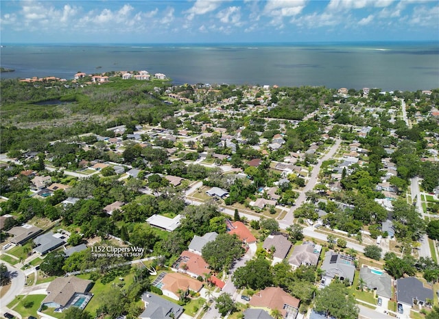 1152 Clippers Way, Tarpon Springs, FL 34689 - photo 49