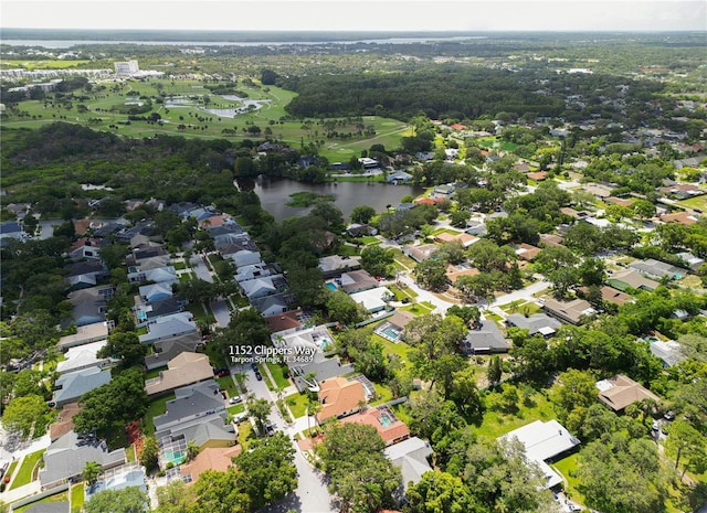 1152 Clippers Way, Tarpon Springs, FL 34689 - photo 54