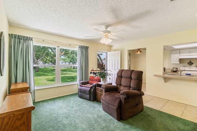 11015 Linkside Dr, Port Richey, FL 34668 - photo 7