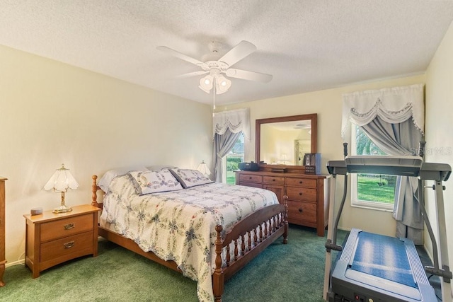 11015 Linkside Dr, Port Richey, FL 34668 - photo 24