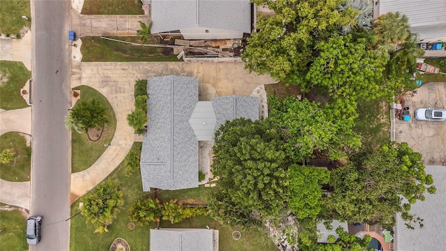 312 Lagoon Dr, Palm Harbor, FL 34683 - photo 33
