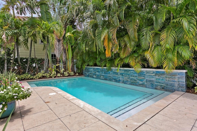 826 S Edison Ave, Tampa, FL 33606 - photo 62