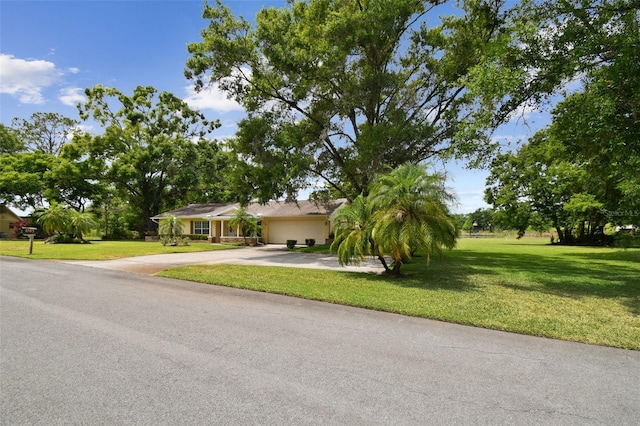 1703 Ryan Dr, Lutz, FL 33549 - photo 6