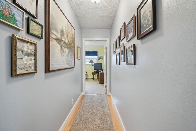 1703 Ryan Dr, Lutz, FL 33549 - photo 56