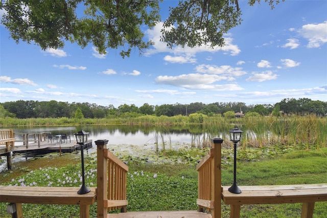 1703 Ryan Dr, Lutz, FL 33549 - photo 90