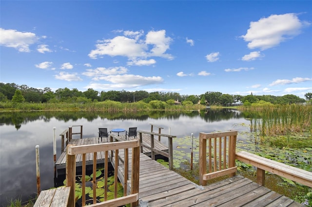 1703 Ryan Dr, Lutz, FL 33549 - photo 97