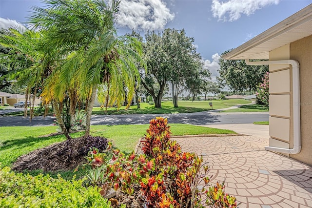 11027 Dormie Dr, San Antonio, FL 33576 - photo 2