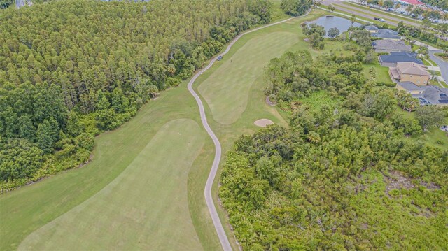 10427 Lucaya Dr, Tampa, FL 33647 - photo 63