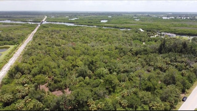 7100 Riverside Dr, Punta Gorda, FL 33982 - photo 3