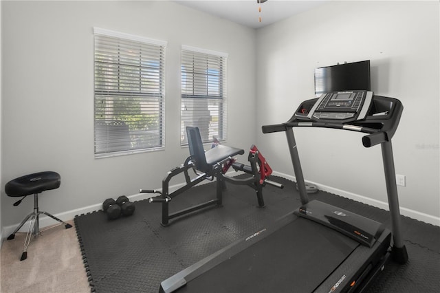 4350 Shrewbury Pl, Land O Lakes, FL 34638 - photo 28