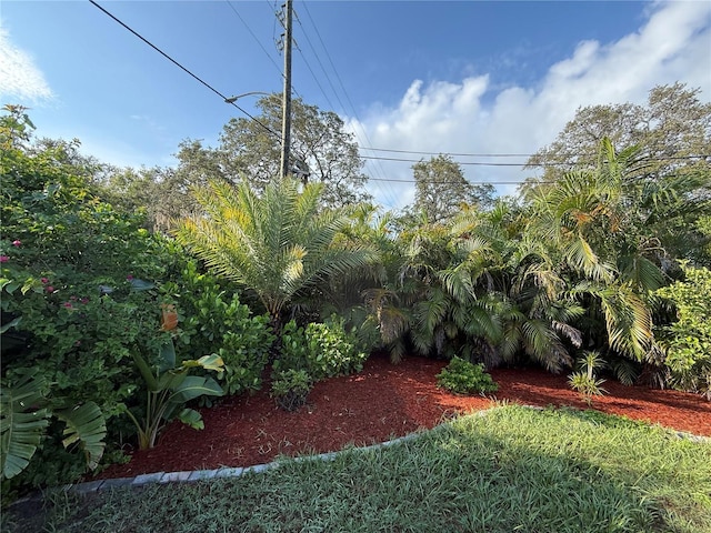 1591 Druid Rd E, Clearwater, FL 33756 - photo 35