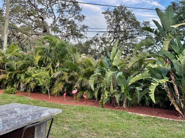 1591 Druid Rd E, Clearwater, FL 33756 - photo 37