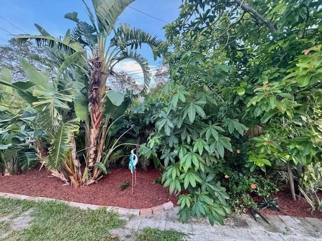1591 Druid Rd E, Clearwater, FL 33756 - photo 40