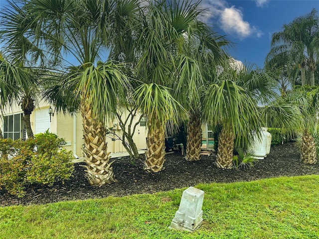 4558 Whitton Way, New Port Richey, FL 34653 - photo 76