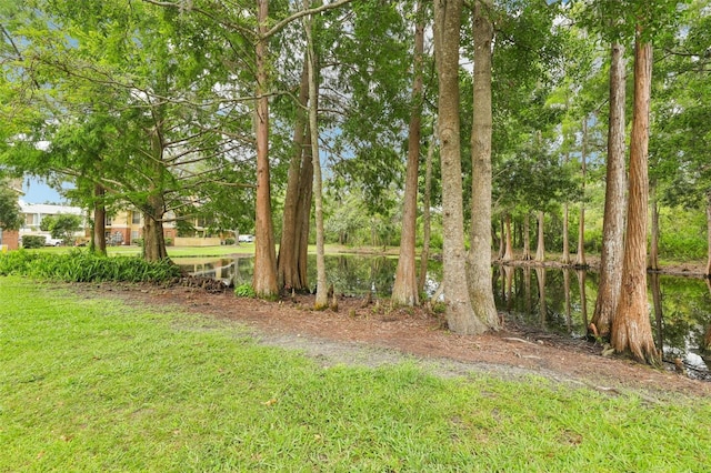 8724 Mallard Reserve Dr Unit 101, Tampa, FL 33614 - photo 31