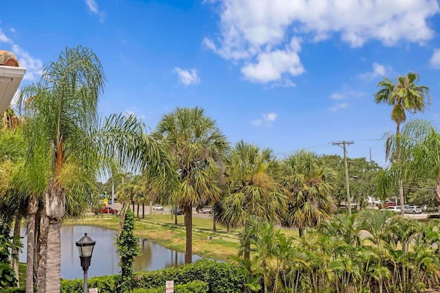 3420 Sondrio Cir, Tampa, FL 33611 - photo 25