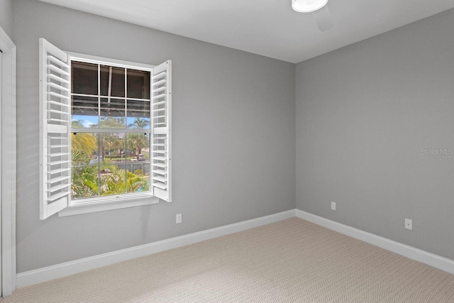 3420 Sondrio Cir, Tampa, FL 33611 - photo 29
