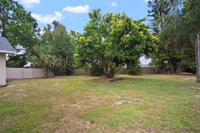 1004 Classic Dr, Valrico, FL 33594 - photo 11