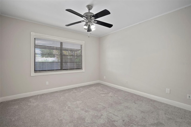 1004 Classic Dr, Valrico, FL 33594 - photo 37