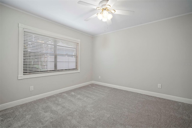 1004 Classic Dr, Valrico, FL 33594 - photo 40
