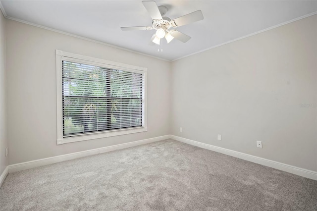 1004 Classic Dr, Valrico, FL 33594 - photo 42