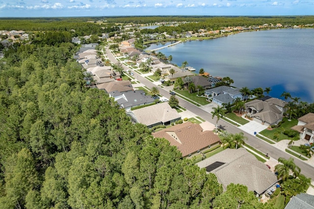 16722 Ivy Lake Dr, Odessa, FL 33556 - photo 57
