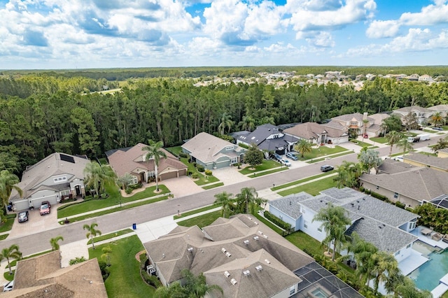 16722 Ivy Lake Dr, Odessa, FL 33556 - photo 58