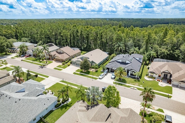 16722 Ivy Lake Dr, Odessa, FL 33556 - photo 62