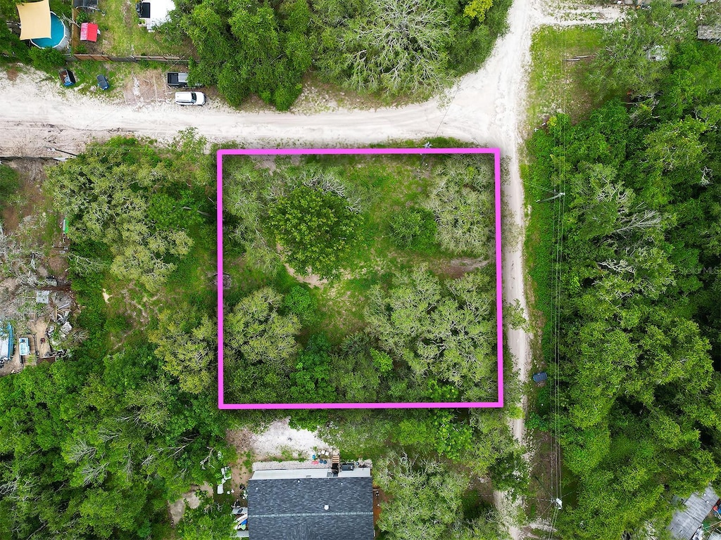 9412 Labelle St, New Port Richey, FL 34654 - photo 3