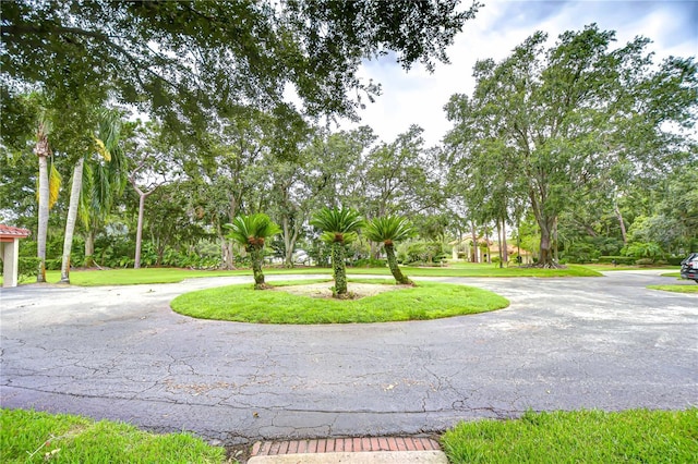 5352 Saddlebrook Way Unit 4, Wesley Chapel, FL 33543 - photo 3