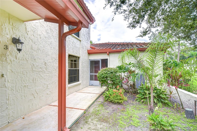 5352 Saddlebrook Way Unit 4, Wesley Chapel, FL 33543 - photo 9